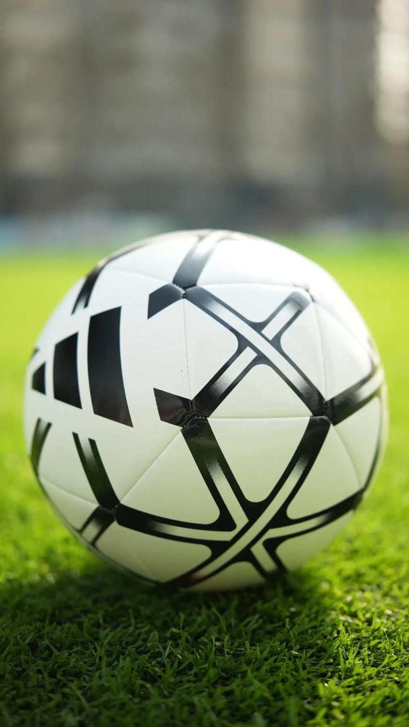 多公司对比分析